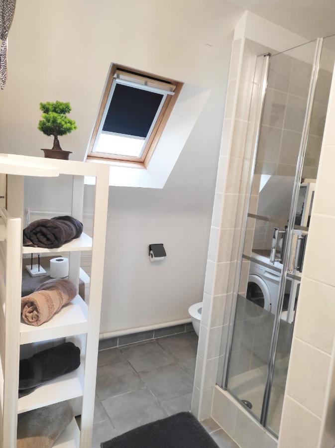 Appartement Saint Malo Vue Sur Mer Et Sur Intra Muros, Ferry, Plage Et Commerces A 50 M Eksteriør billede